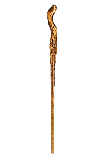 Consulter la fiche détaillée de la baguette de Garrick Ollivander